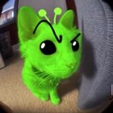 ZANEIV