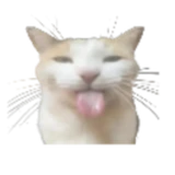jamaleman