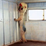 SCP-173 [Demonstration] icon