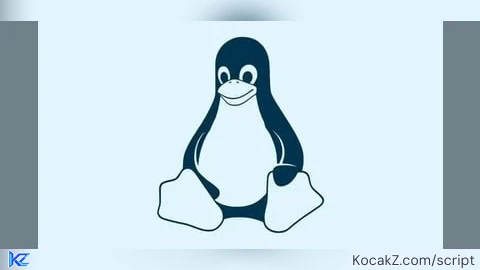 PUN Hub