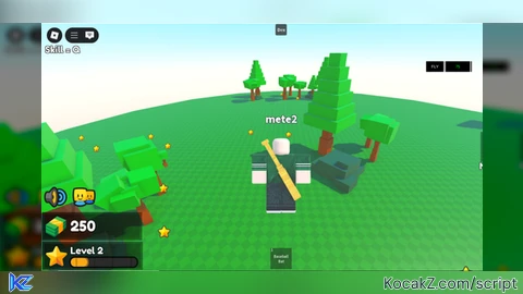 FLY SCRPT V1