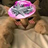 xenuniversl