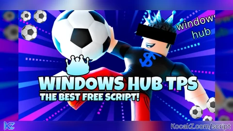 WINDOWS HUB TPS