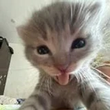 aizen1