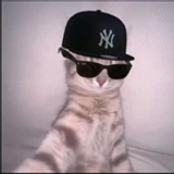 ksa_king37