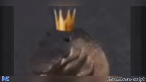 Visual sp0ng3b0pkidd gui