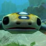 hoverfish