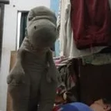 Hahsn