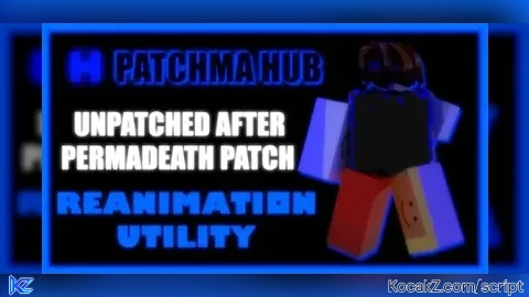 Patchma hub V27