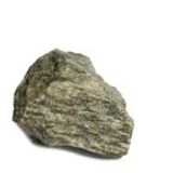 Dinosaurus_Rex