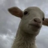 Kovryab