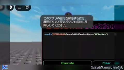 Idk Script 5