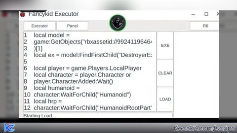 fancykid executor