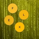 FleXploits