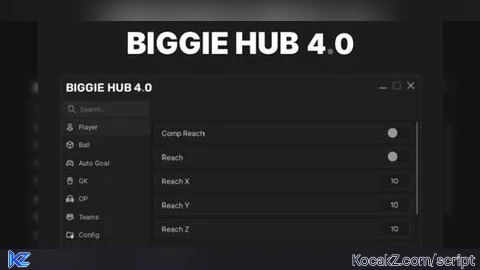 BIGGIE HUB