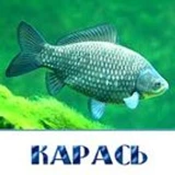 KapacbScripts