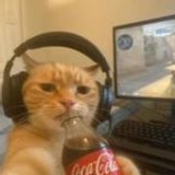 mmccarlliam1