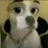 Carloslegal2026