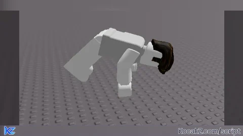 backflip script