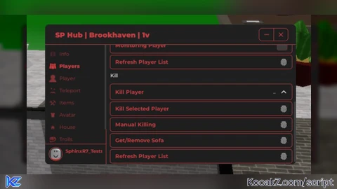 New script SP Hub