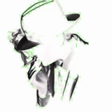 WhiteHat