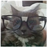 pixel_v
