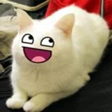 ZSII