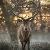 Eric_70