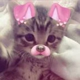 coolbacon109