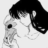 xw333