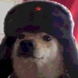 euyogi