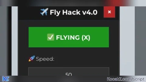 Fly script