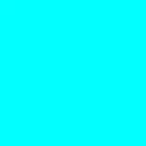 rrrrrr7799