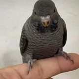 Evil_ADSKer