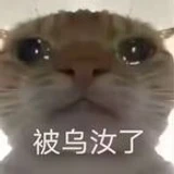 ummm