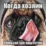 asdsaasdsa