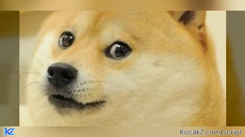 Fe jojo