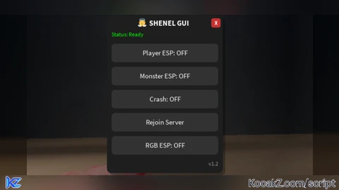 SHENEL X  RGB ESP SERVER CRASH