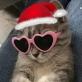 realcastel