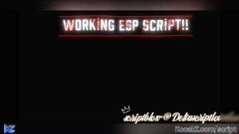 WORKING ESP SCRPT FOR ALL GAMES