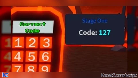 code view