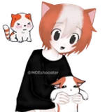 CatBoyy