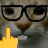 izR4y