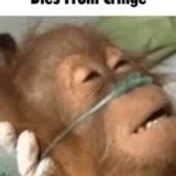 ronasang1