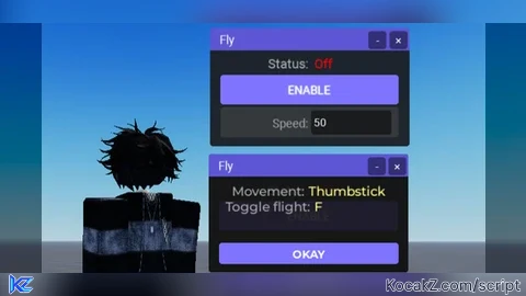 HdAdmin Fly