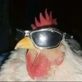 chickenadobo