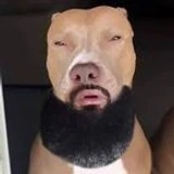 BigPPMike