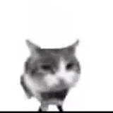 Tvguy