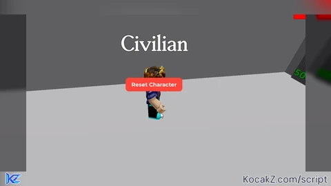 reset character