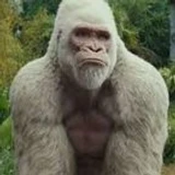 ArandomGuyFromRoblo